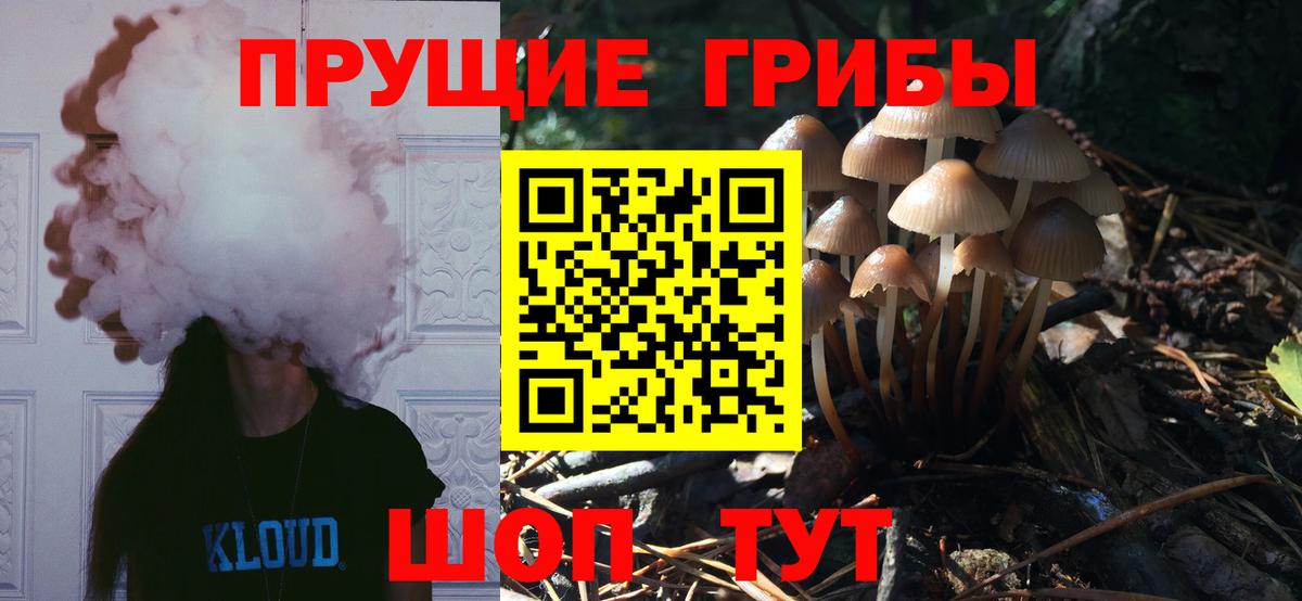 Псилоцибиновые грибы Magic Shrooms Глазов