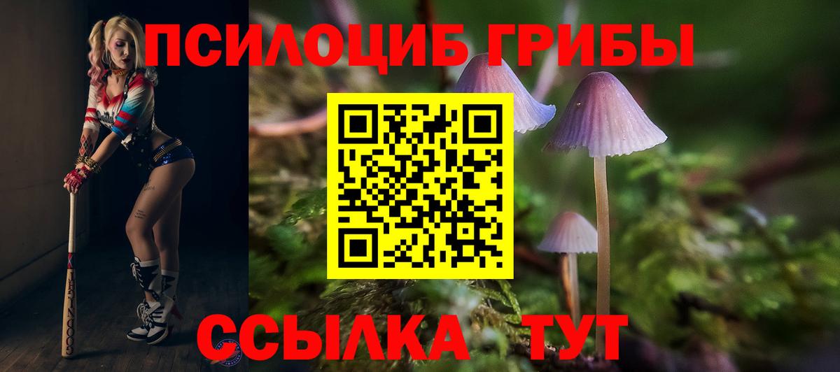 Галлюциногенные грибы ЛСД  Вход с VPN  Глазов  Галлюциногенные грибы Cubensis 